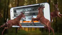 Sniper Deer Hunting Jungle 3D Screen Shot 2