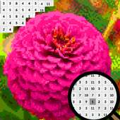 Zinnia Flowers Color By Number-Pixel Art 2020
