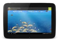 Wonder Fish Giochi Gratuiti HD Screen Shot 18
