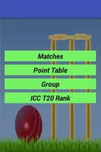 Twenty 20 Cricket World Cup Screen Shot 0