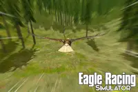 Eagle Racing Simulator: Animal Race Game Screen Shot 11