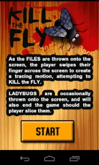 SMASH the FLY but not LADYBUGS Screen Shot 6