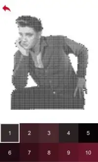 Elvis Presley Color by Number - Pixel Art Game Screen Shot 4