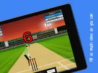 Cricket World Cup Mini Screen Shot 13