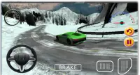 قيادة السيارة 3D Screen Shot 0