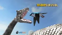 Snake Survival Simulator Screen Shot 0