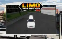 Limo Car Driving 3D Simulator Screen Shot 6