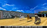 野生のグレイハウンド犬のレース Screen Shot 3