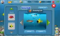 Dream Fish Seasons Screen Shot 4