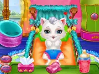 Cat рождает игры Screen Shot 3