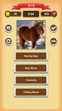 Horse Coat Colors Quiz Screen Shot 4