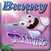 jungle bunny training jump