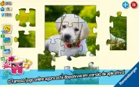 Puzzle Adventures Screen Shot 11