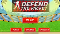 Cricket - Defend the Wicket Screen Shot 1