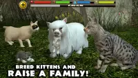 Stray Cat Simulator Screen Shot 1