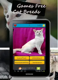 Cat Breeds: Cat Games Screen Shot 6