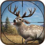 Animal Shooter Jungle Shooting Sim 3D