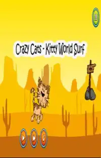 Crazy Cats - Kitty World Surf Screen Shot 0