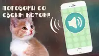 Mèo Phiên Dịch Screen Shot 0