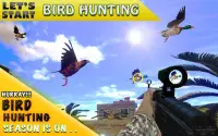 Desert Birds Sniper Shooter  - バードハンティング2019 Screen Shot 2