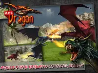 Play A Dragon Screen Shot 4