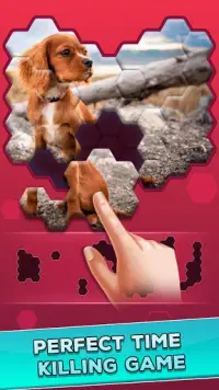 Hexa Jigsaw Epic Puzzle Screen Shot 0