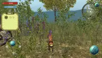 Wild Fox Survival 3d Simulator Screen Shot 3
