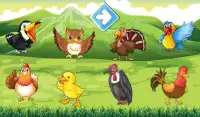 Animated puzzles birds Screen Shot 5