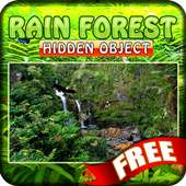 Rain Forest Hidden Objects