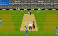 cricket 2014 Screen Shot 1