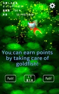 Goldfish Dream　goldfish scoop & goldfish breeding Screen Shot 14