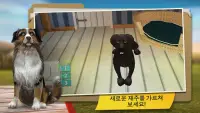 Dog Hotel 프리미엄 – 귀여운 강아지와 놀기 Screen Shot 1