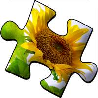 Flowers Jigsaw Puzzle