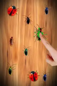 Cockroach Smasher Free Screen Shot 7