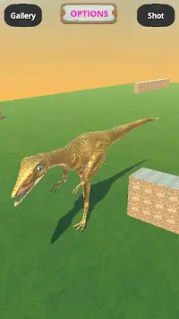 Play With Velociraptor Dinosaur Screen Shot 4