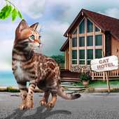 My Cat Hotel Business – Virtual Kitten Hotel
