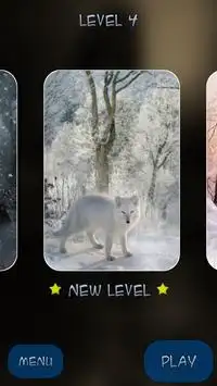 Hidden Pieces: Animal Seasons Screen Shot 3