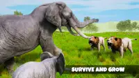 Simulatore di elefanti Screen Shot 3