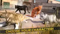 3D Cat Simulator Game For Free Screen Shot 11