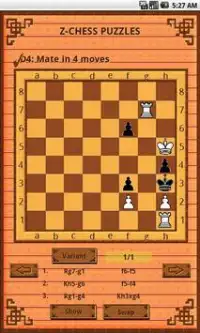 Z-Chess-101 Screen Shot 1