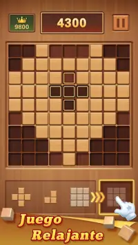 Wood Block 99 - Sudoku Puzzle Screen Shot 1