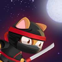 cat ninja