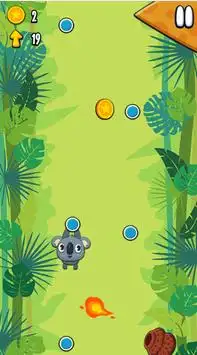 Koala Sling - Game Screen Shot 2