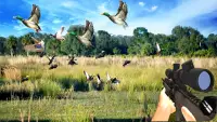 Duck Hunting Challenge Screen Shot 1