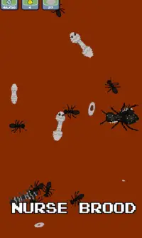 Ant Family - Ant colony simulator Screen Shot 2