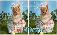 Find 5 Differences : Puppies Screen Shot 1