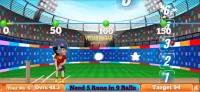 Shiva Cricket Game Screen Shot 3