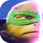 New Ninja Turtle Legend's Guid