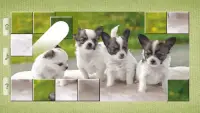 Dog Puzzles - Drag & Swap Screen Shot 4