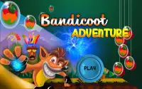Bandicoot Runner Adventure Screen Shot 0